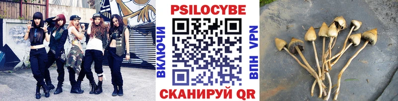 Галлюциногенные грибы Cubensis  купить закладку  Ивантеевка 